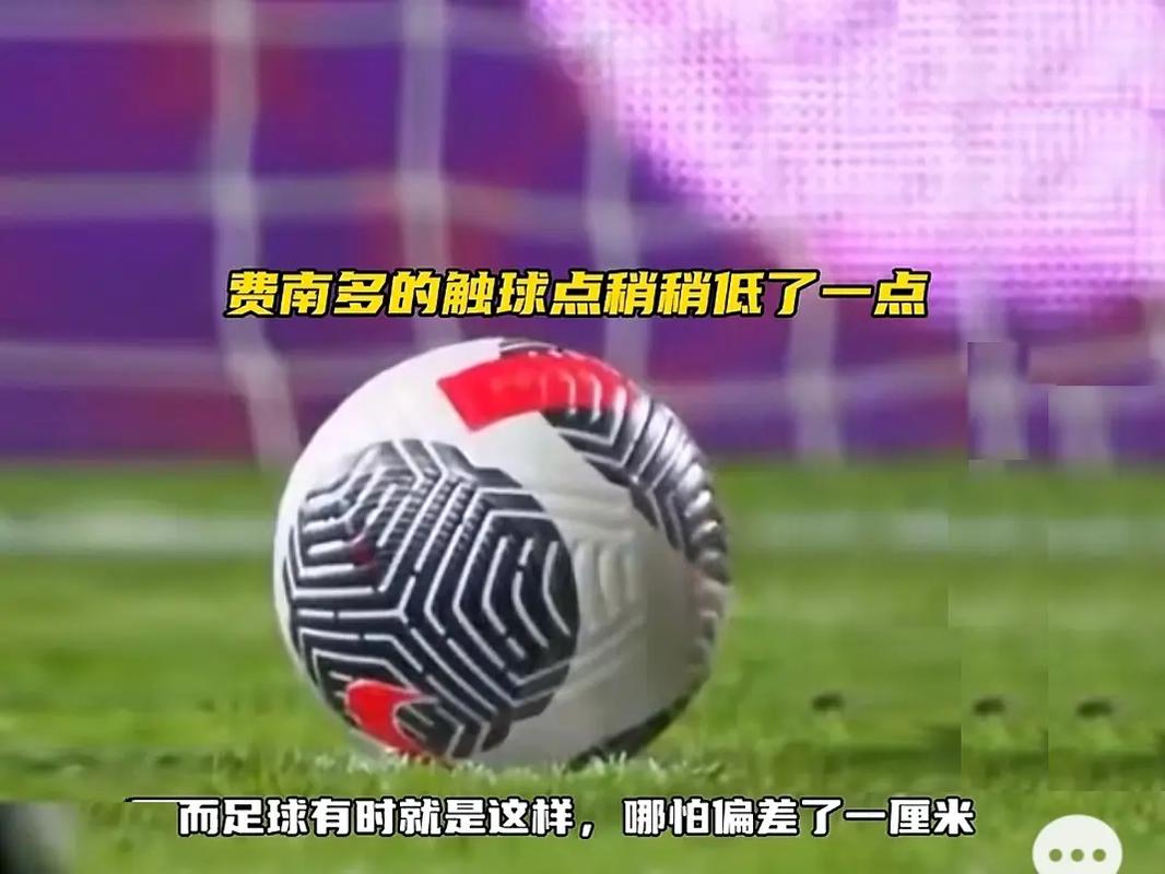 加盟费内巴