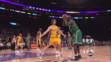 的判断力和 的判断力和