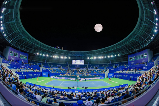 战术布置固 战术布置固